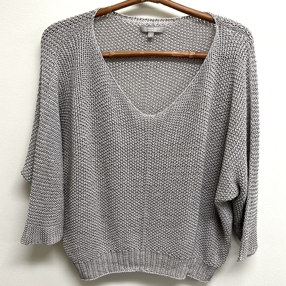 Carina Ricci Gray Sweater